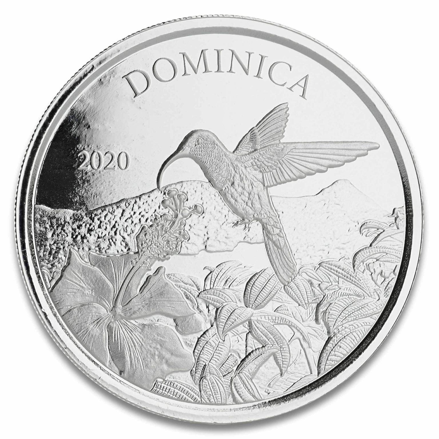 2020 EC8 Dominica 