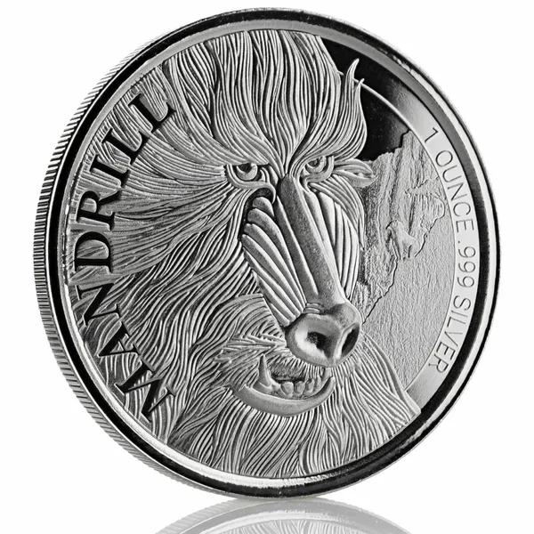 2019 Cameroon Cheetah 1 Oz Silver Coin (copy)