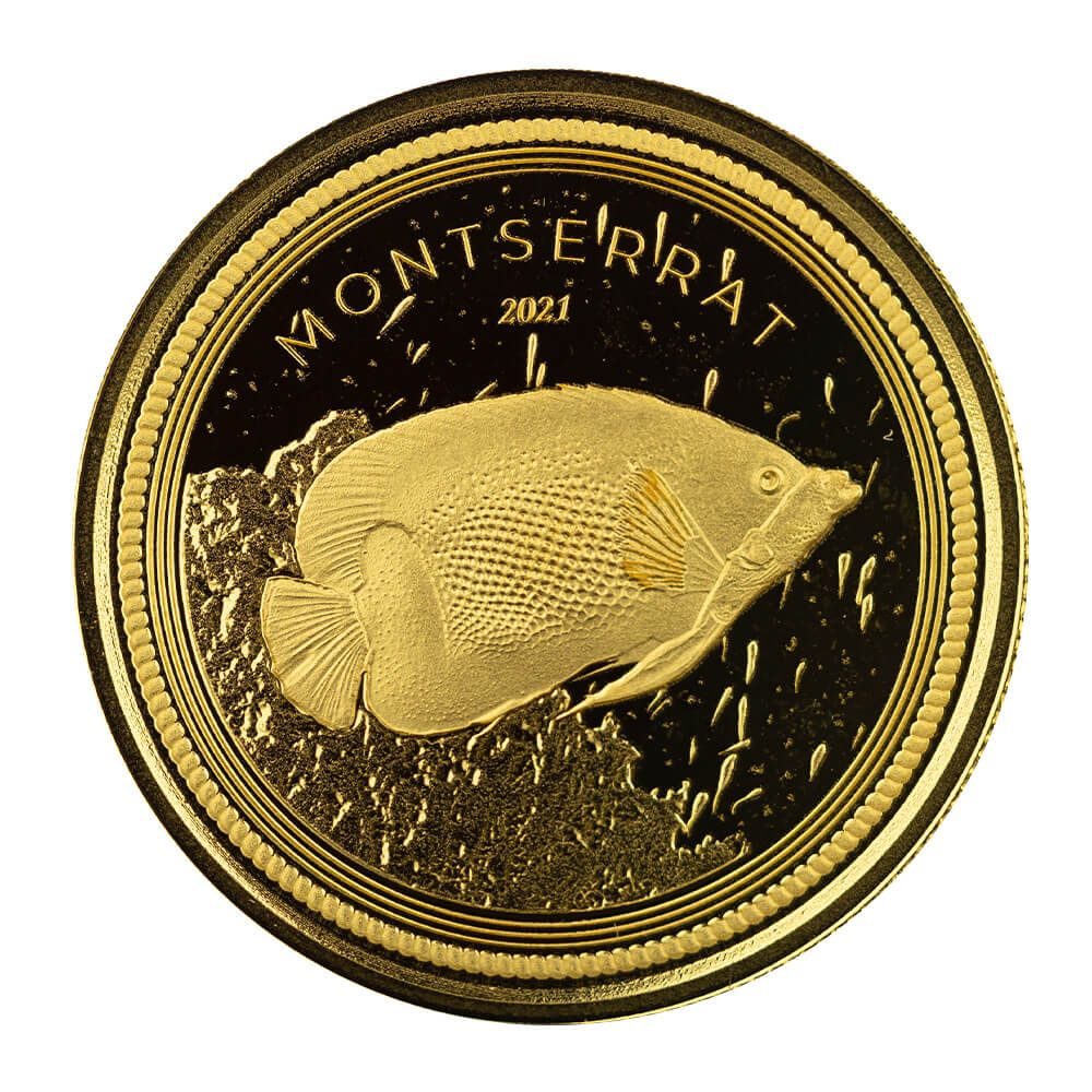 Shop 2021 EC8 Montserrat 1 oz Gold Coin Shop 2021 EC8 Montserrat 1 oz Gold Coin