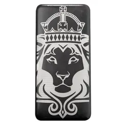2023 Scottsdale Mint Black Lion Kilo 999 Silver Bar 03