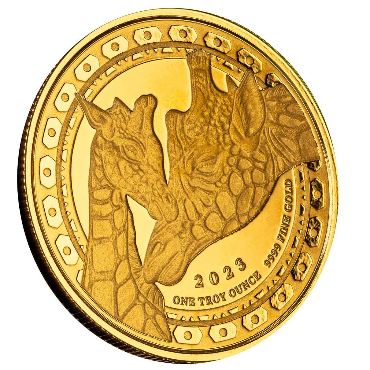 Guam⭐︎ Shop the 2023 Cayman Islands Loggerhead Turtle 1/10 oz Gold