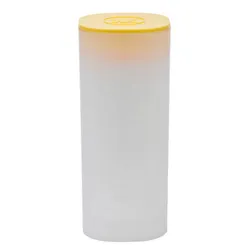 2024 Tubes Silver Maple Leaf Tube 2