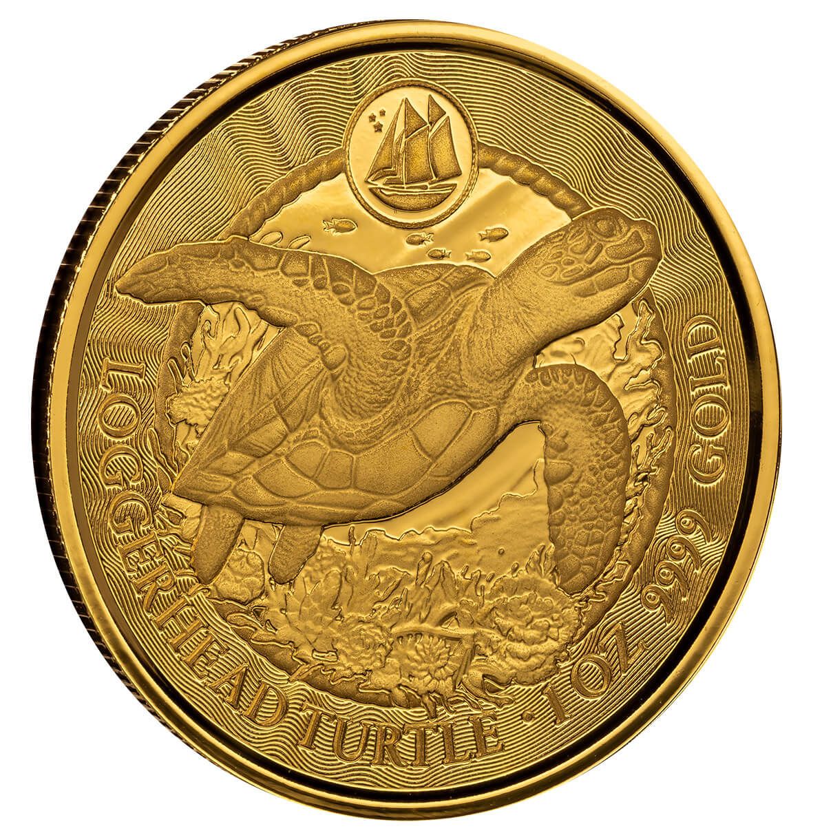 ゴールドトーチコラール 1ヘッド Shop the 2023 Cayman Islands Loggerhead Turtle 1 oz Gold