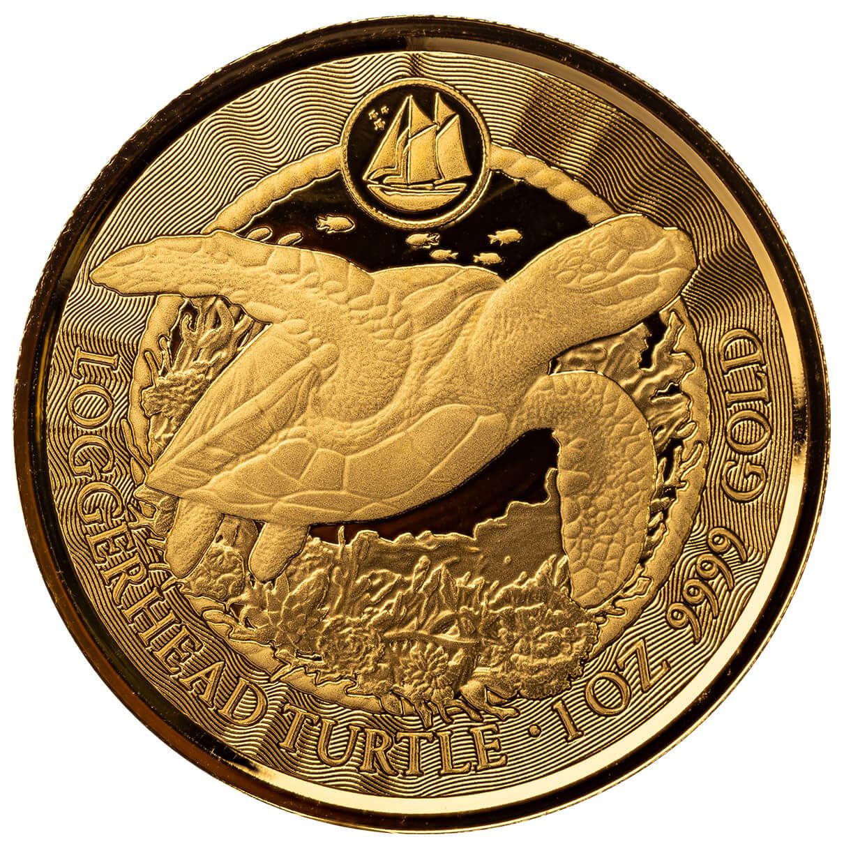 Shop the 2023 Cayman Islands Loggerhead Turtle 1/10 oz Gold