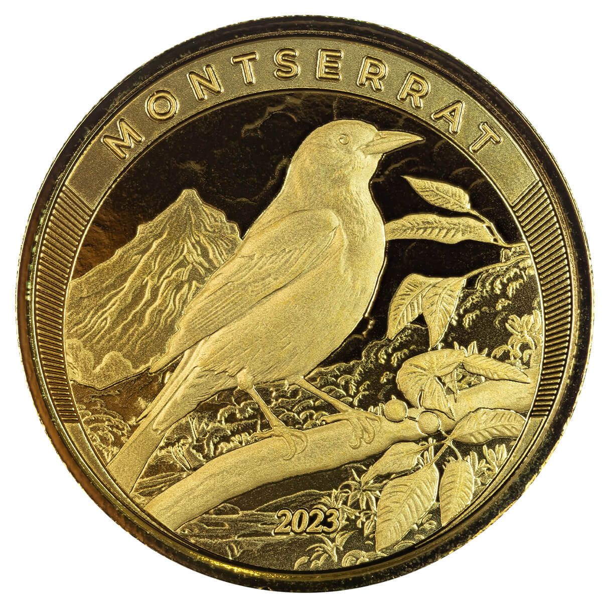 2023 EC8 Montserrat Oriole 1 oz Gold Coin