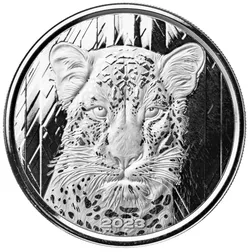 2023 Scottsdale Mint Ghana Leopard 1 Troy Ounce 999 Fine Silver Proof Like Coin 06