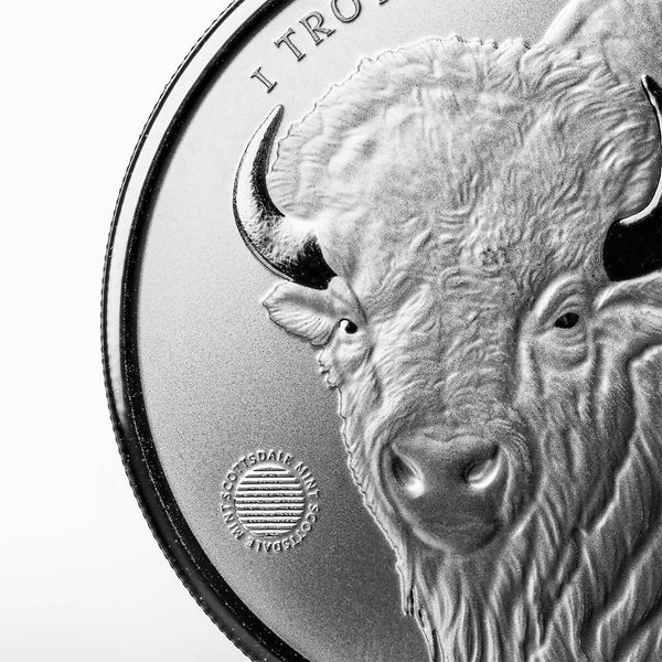Scottsdale Buffalo Girl 1 Oz Silver Round