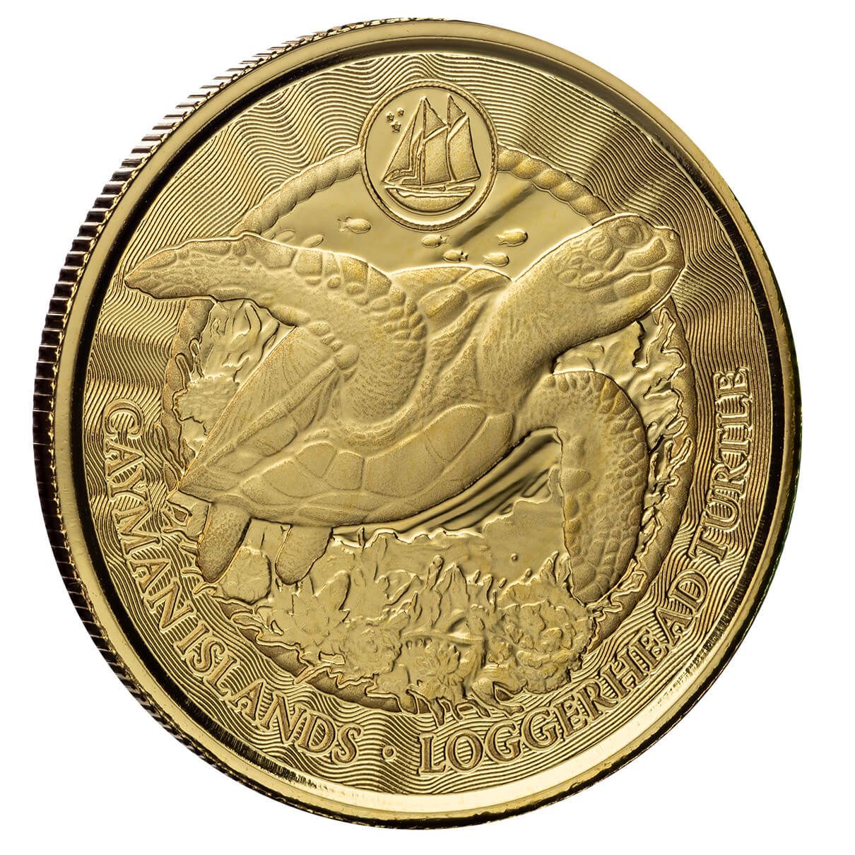 Shop the 2024 Cayman Islands Stingray