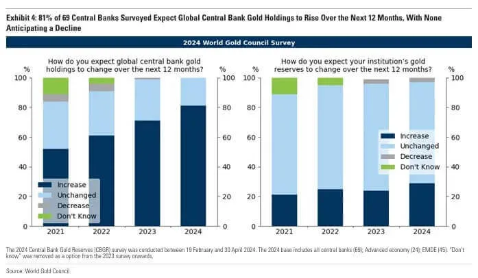 2024 Brics Central Banks Double Down On Gold Vbl Ghost 5