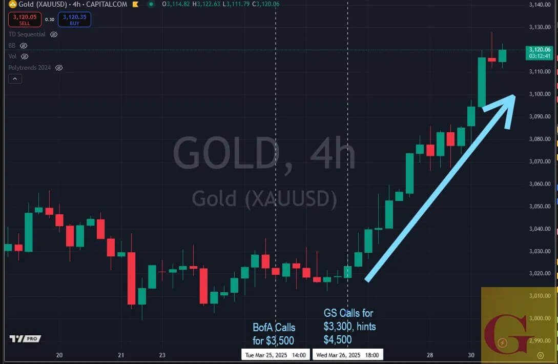 2025 March Gold Soars Currency Wars 01