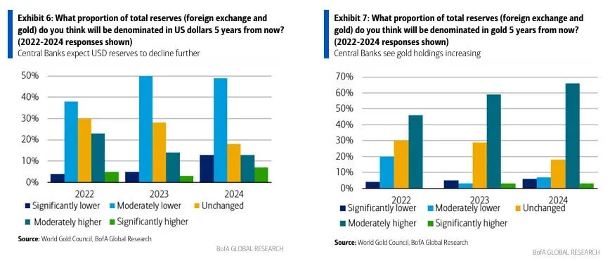 2025 March Gold Soars Currency Wars 06