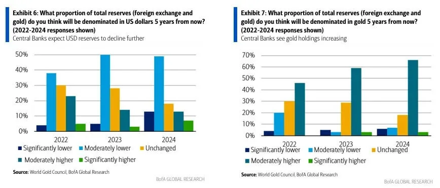 2025 March Gold Soars Currency Wars 06