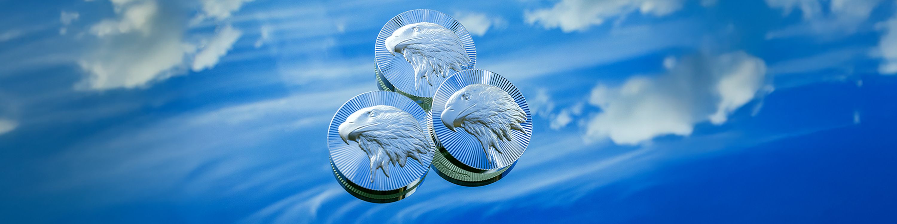 2020年　アメリカ　イグール銀貨 American Silver Eagle Type 2 Coins for Sale | 2020-23 Monex