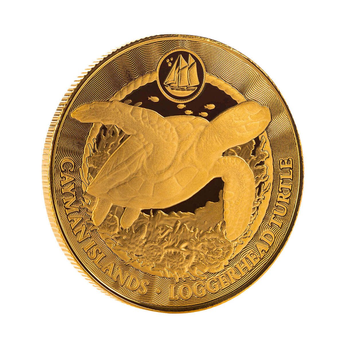 2025 Cayman Islands | Loggerhead Turtle 1 Troy oz 9999 Fine Gold Coin
