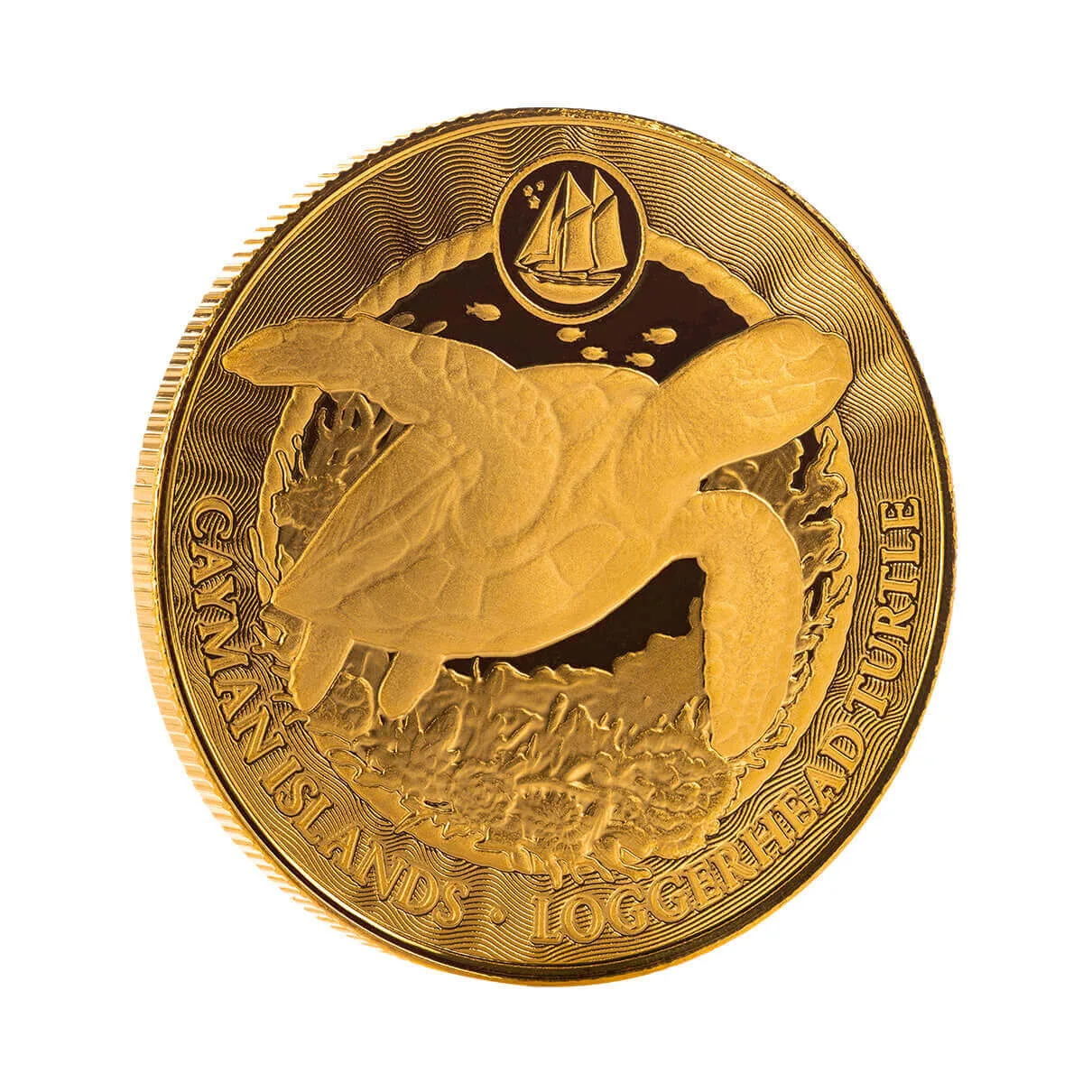 2025 Cayman Islands | Loggerhead Turtle 1 Troy oz 9999 Fine Gold Coin