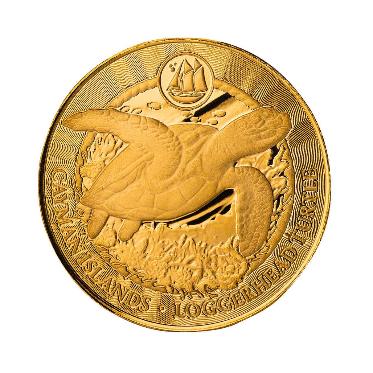 2025 Cayman Islands | Loggerhead Turtle 1 Troy oz 9999 Fine Gold Coin
