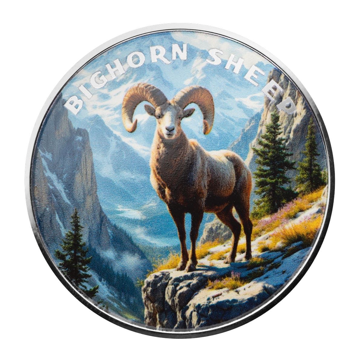The Wild | Bighorn Sheep 1 oz 999 Fine Silver Colorized Round