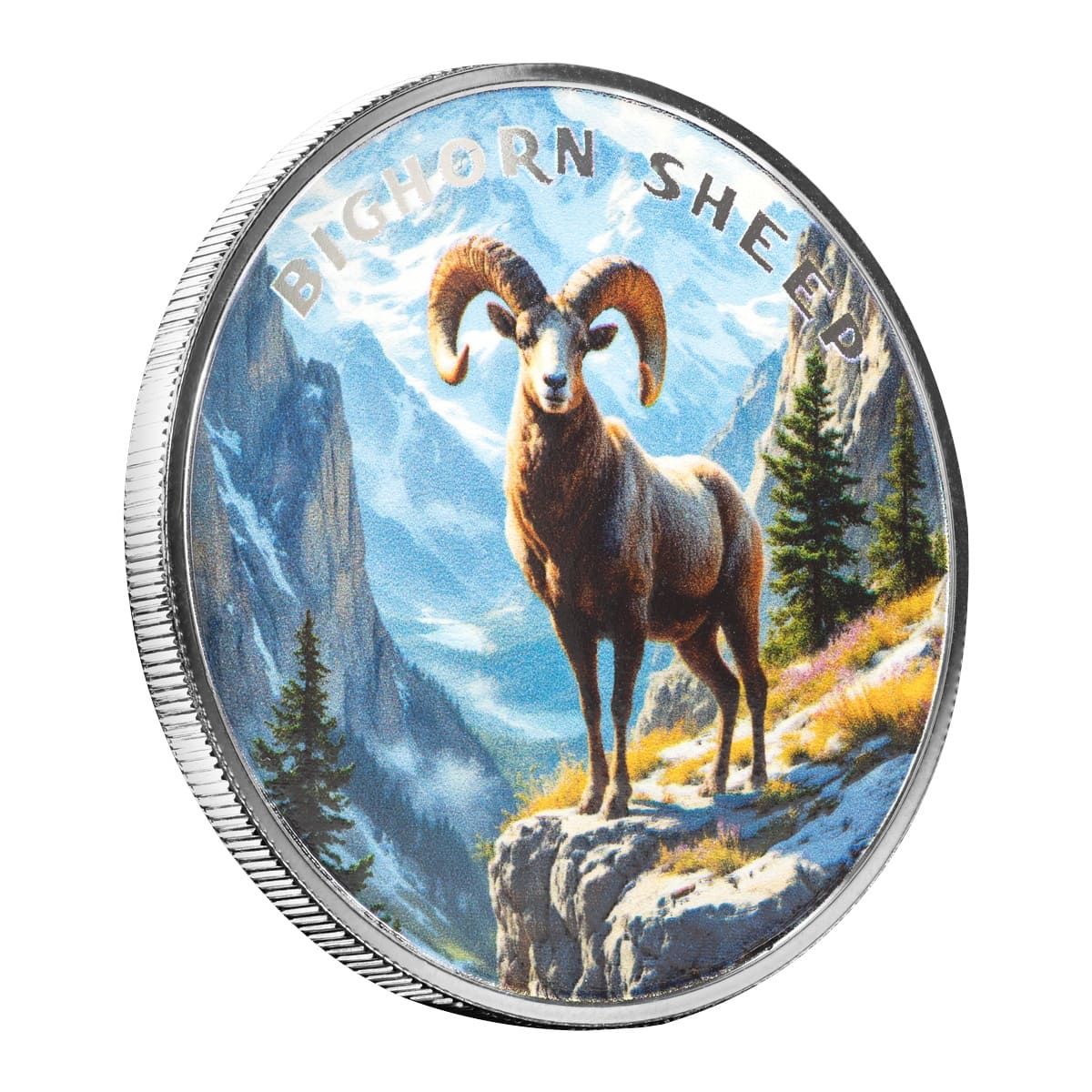 The Wild | Bighorn Sheep 1 oz 999 Fine Silver Colorized Round