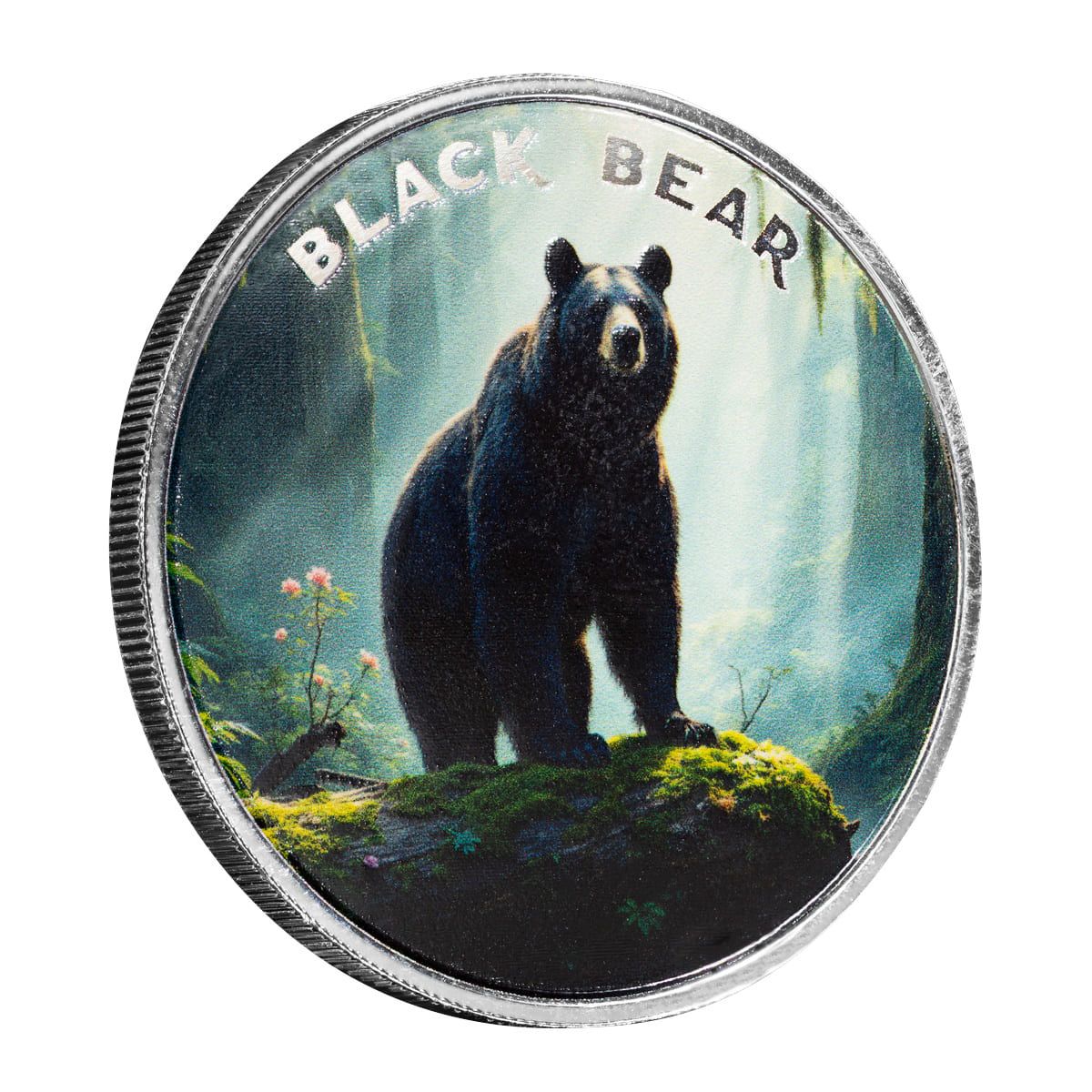 The Wild | Black Bear 1 oz 999 Fine Silver Colorized Round
