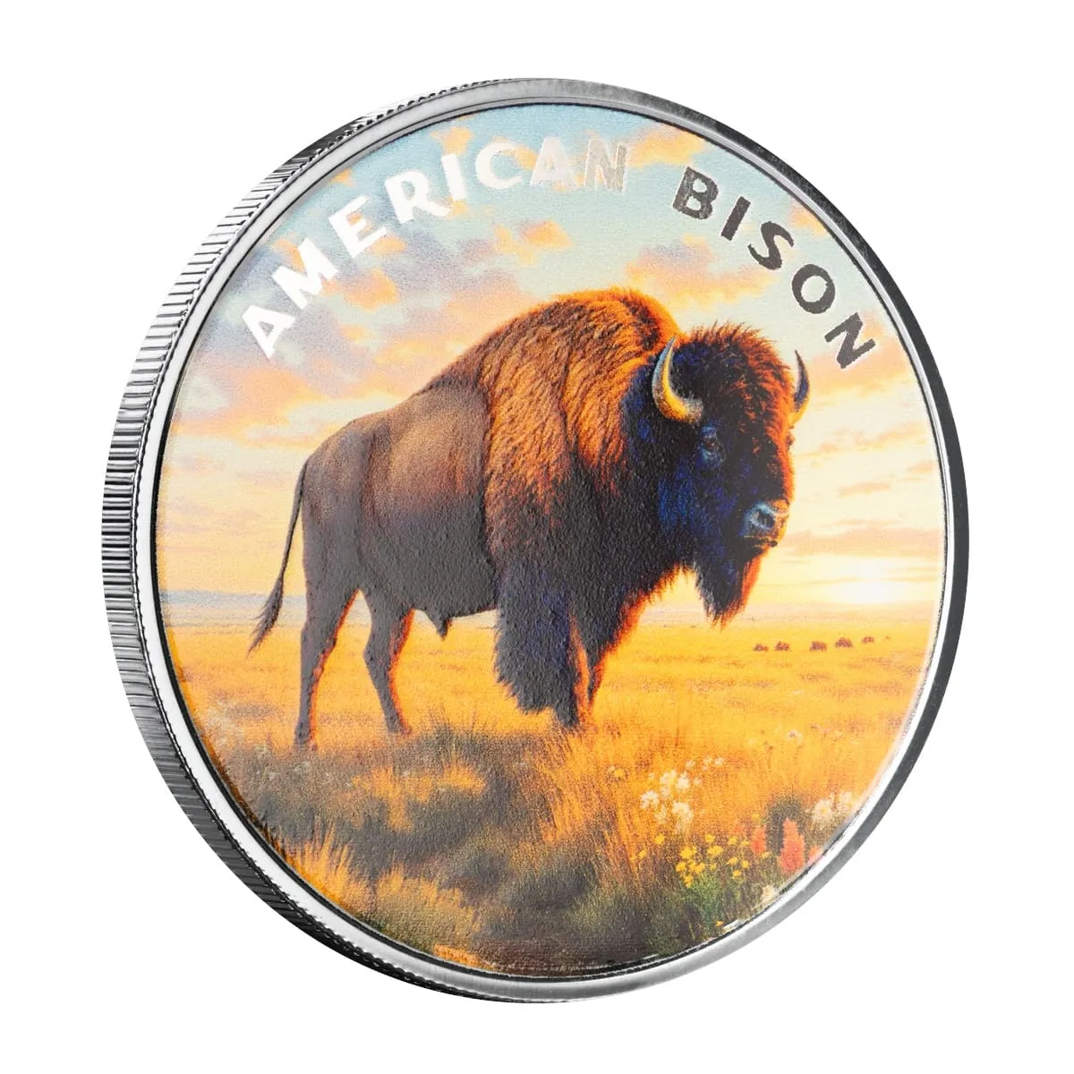 The Wild | American Bison 1 oz 999 Fine Silver Colorized Round