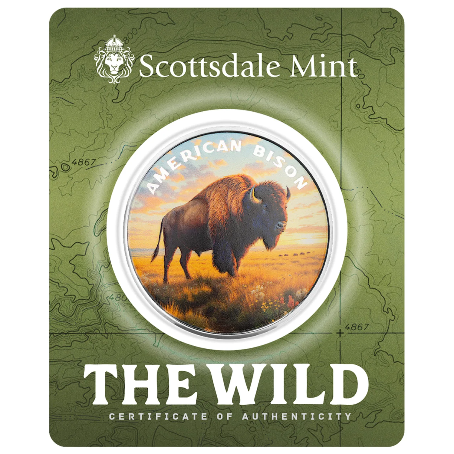 The Wild | American Bison 1 oz 999 Fine Silver Colorized Round
