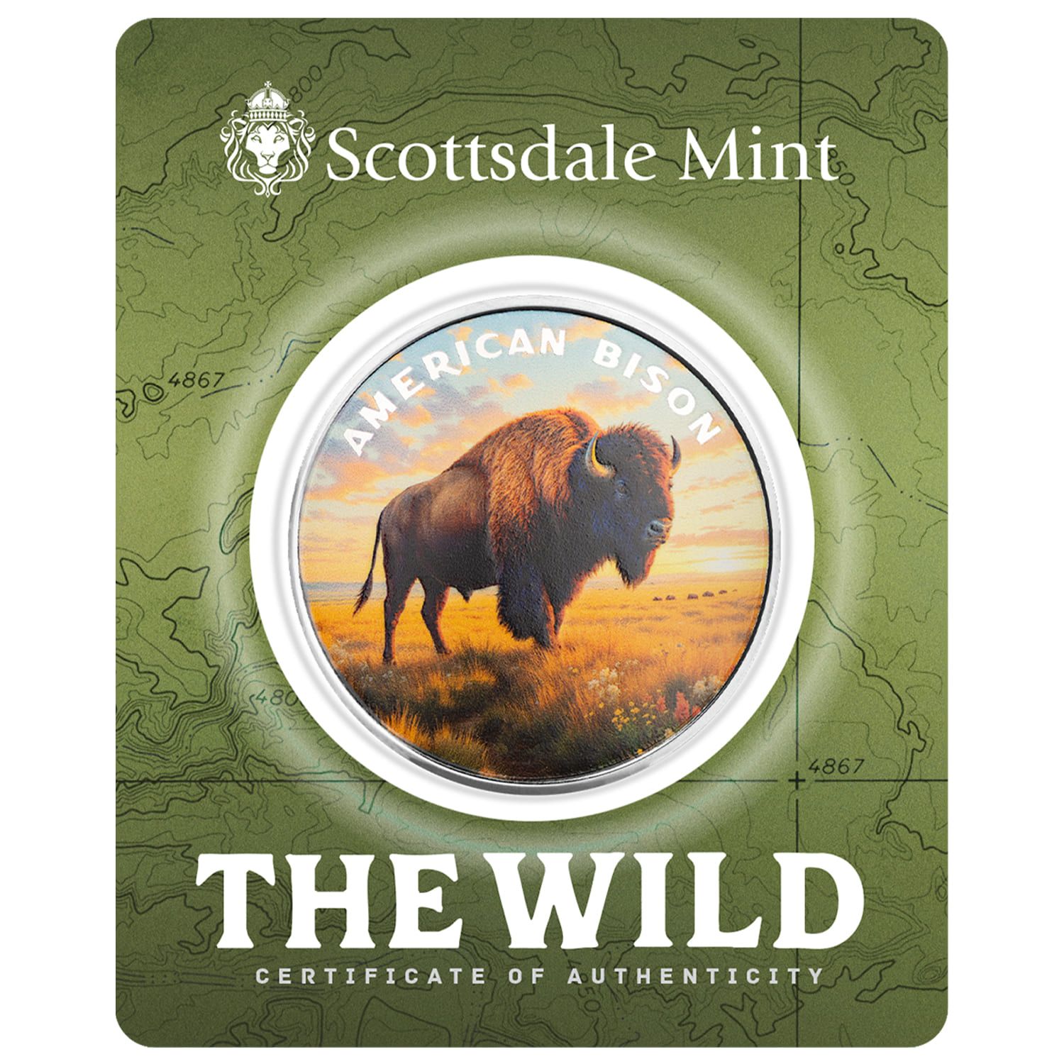 The Wild | American Bison 1 oz 999 Fine Silver Colorized Round