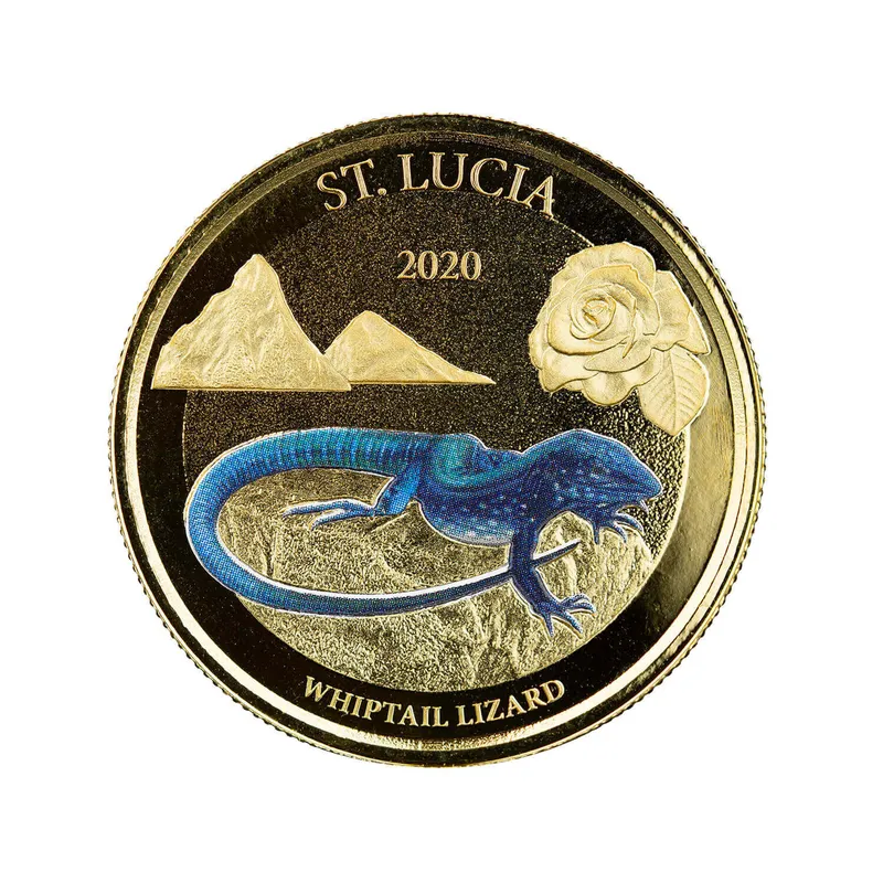 2020 Ec8 St Lucia Whiptail Lizard Gold Color 04