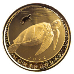 2022 Eastern Caribbean 8 Scottsdale Mint Montserrat Sea Turtle 1 Oz Gold Bu Coin 05
