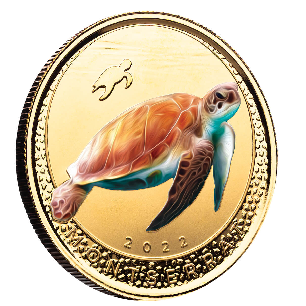 2022 Eastern Caribbean 8 Scottsdale Mint Montserrat Sea Turtle 1 Oz Gold Proof With Color Coin 04