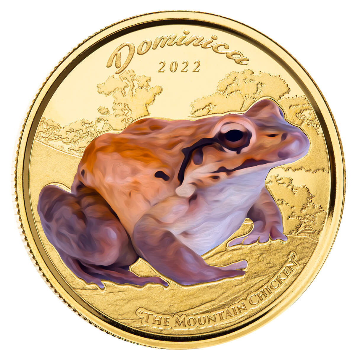 2022 Scottsdale Mint Ec8 Dominica Mountain Chicken 1 Oz Gold Proof Color Commemorative Coin 01